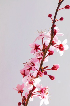 _05A6080.jpg
