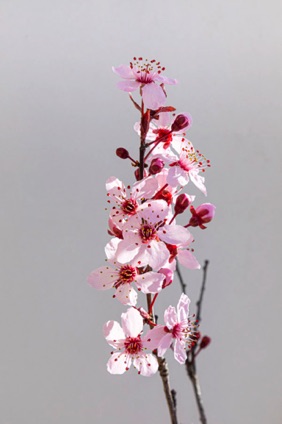_05A6082-Edit.jpg
