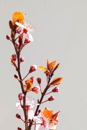 _05A6094-Edit.jpg