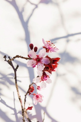 _05A6121-Edit.jpg