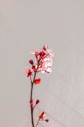 _05A6126-Edit.jpg